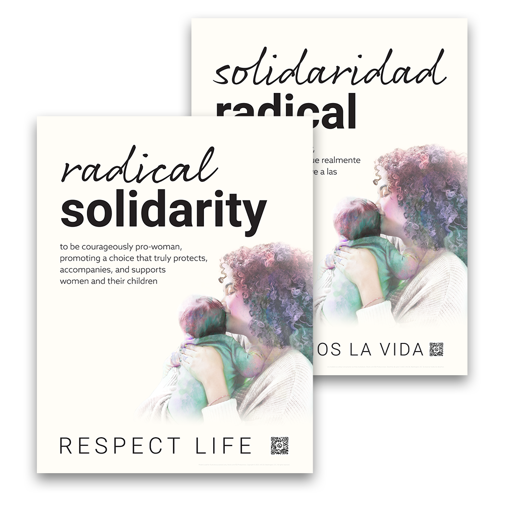 Radical Solidarity Poster (Bilingual, Flat)