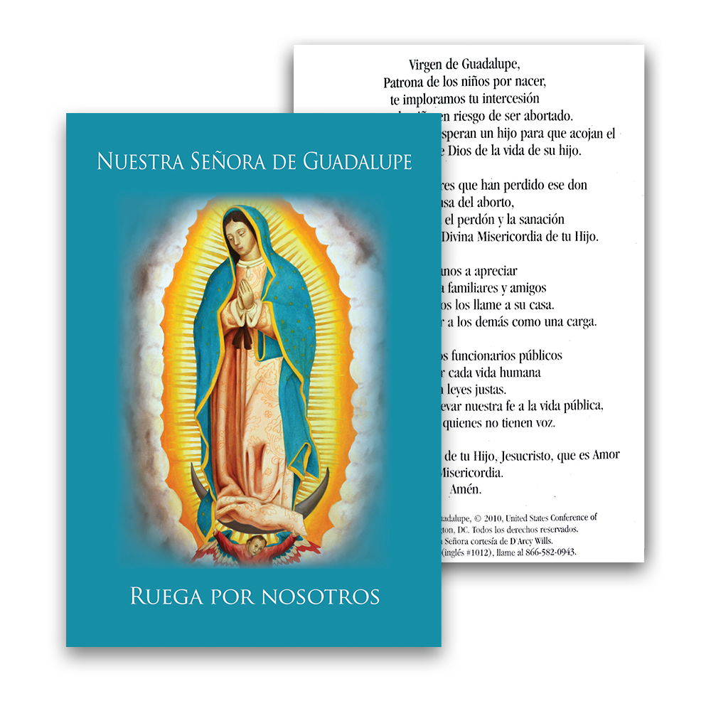 thumbnail image 2 of Novena Santo Rosario Virgen Guadalupe Spanish Language Prayer Book Paperback 2 of 5