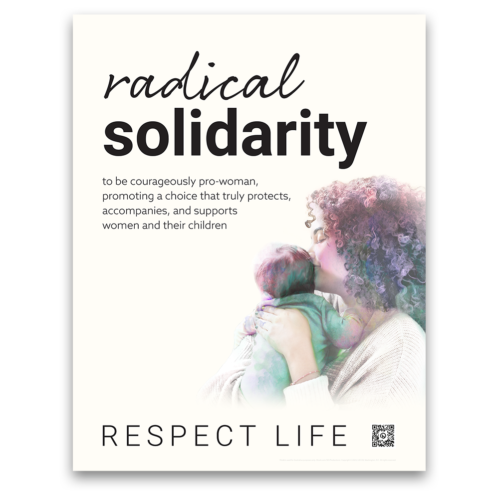 Radical Solidarity Poster (Bilingual)
