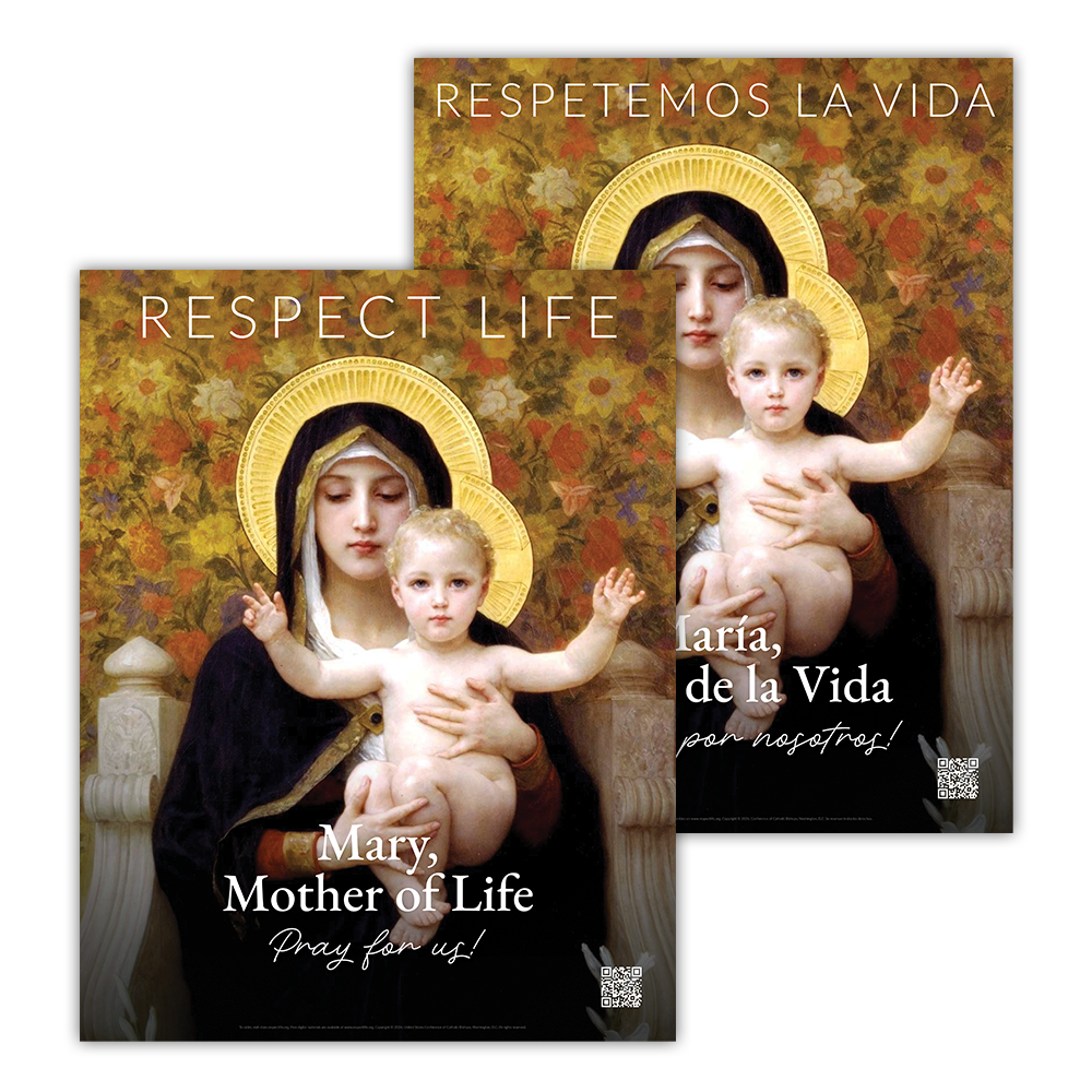 Resource Bundle: Mary, Mother of Life