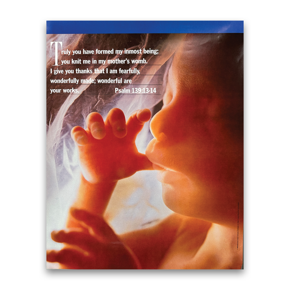 The Child Before Birth